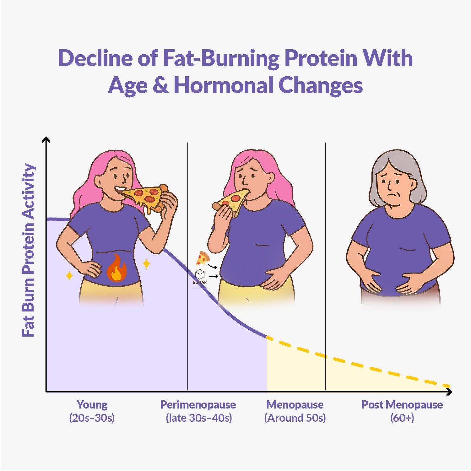 Meno-Shred Fat Burner