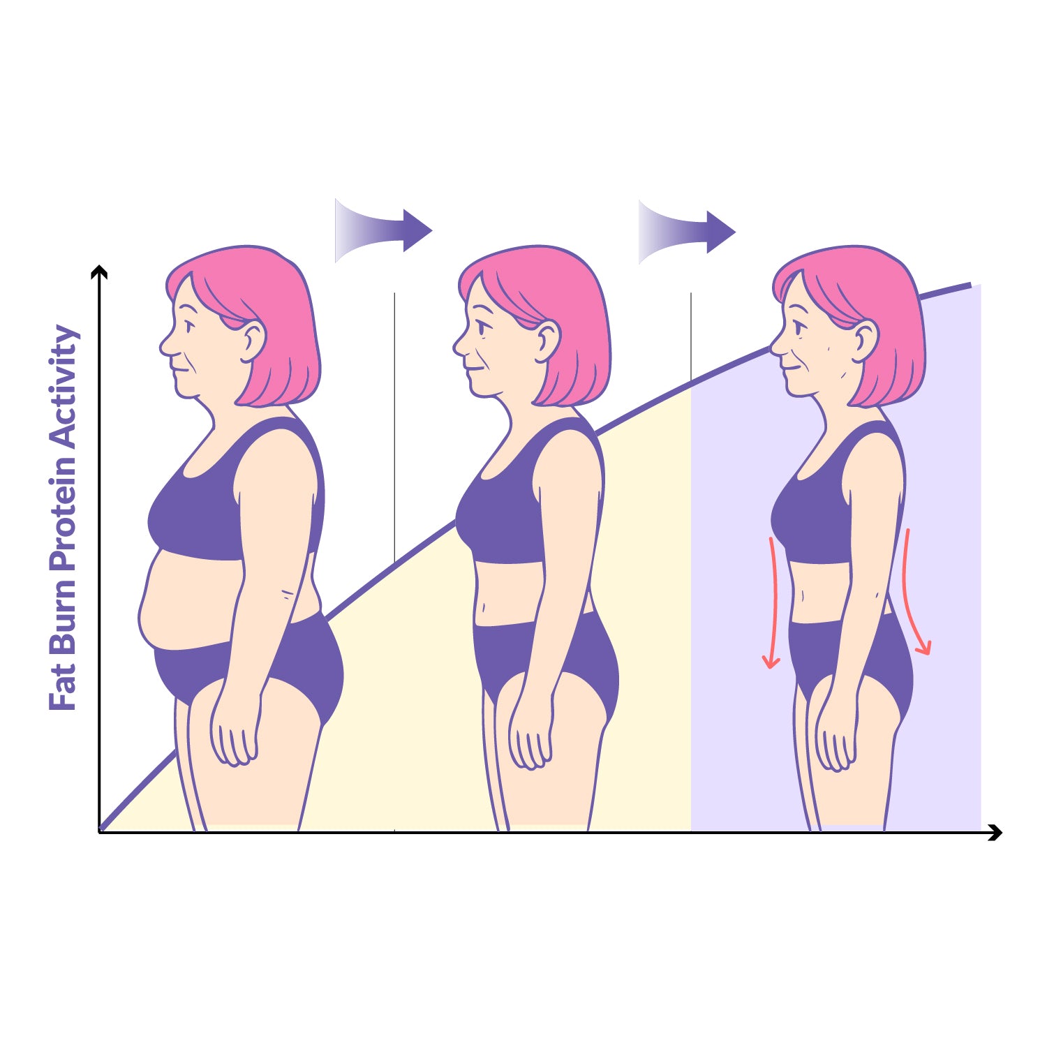 Meno-Shred Fat Burner