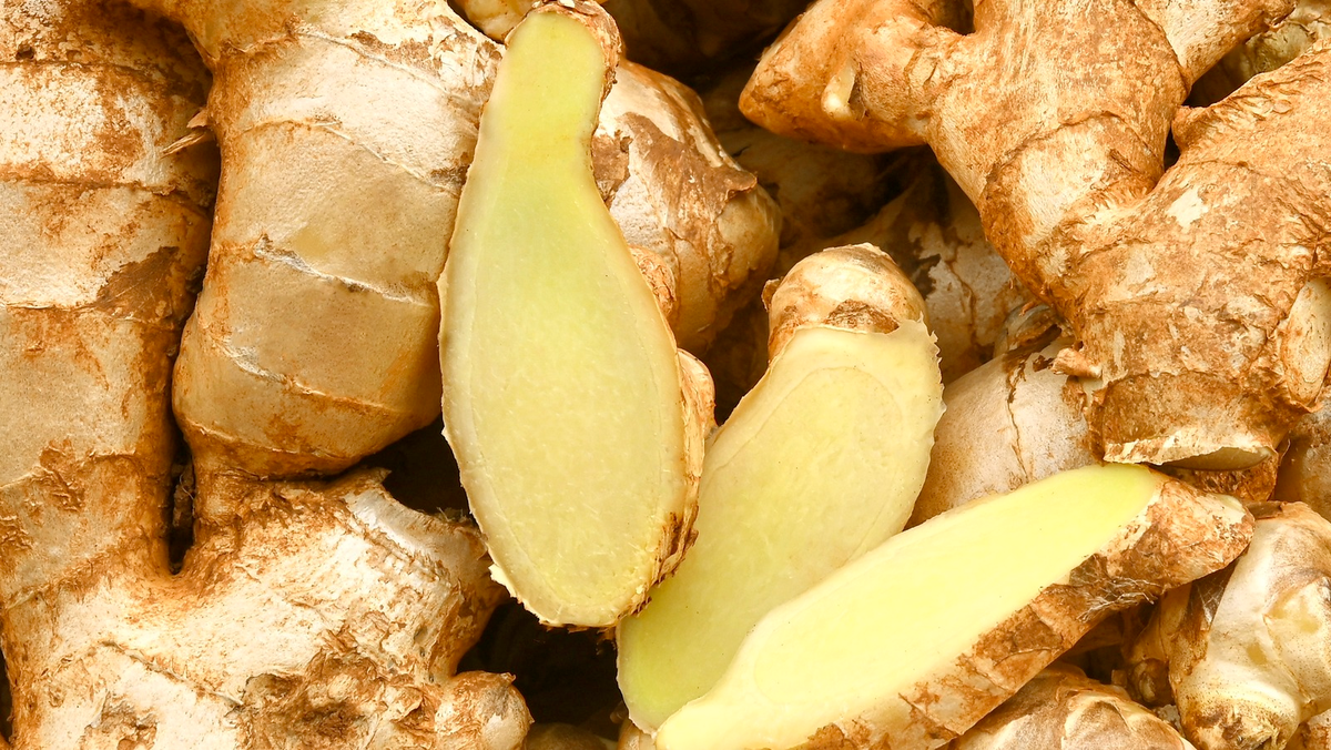 advertorial-ing-maca-root.png