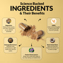'Science Backed Ingredients & Their Benefits' infographic on yellow with an open capsule spilling powder. Five ingredients: Magnesium (relaxes muscles and calms racing mind), Ashwagandha Extract (regulates body temperature to prevent night sweats), Passion Flower Extract (keeps you in deep REM sleep), GABA (calms anxious thoughts at 3am), and Black Cohosh Root (stops hormonal hot flashes).