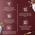 Results timeline on burgundy. Day 7: metabolism firing on all cylinders, scale dropping fast as body burns fat aggressively. Day 14: rapid fat loss visible in mirror and on scale, feel energized from fat burning all day. Day 30: lost 12-18 pounds with dramatic body composition changes. Day 60: major transformation underway with significant fat loss and lean muscle showing. Day 90+: dramatic weight loss with a completely transformed body and metabolism that stays revved.