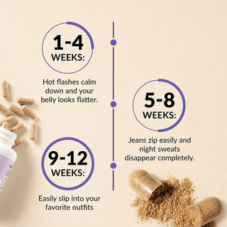 A product benefits timeline infographic on a light beige background tracking results over 12 weeks. A vertical purple timeline line links three main milestones: "1-4 Weeks" notes that hot flashes calm down and the belly looks flatter; "5-8 Weeks" states that jeans zip easily and night sweats disappear completely; "9-12 Weeks" highlights easily slipping into favorite outfits. 